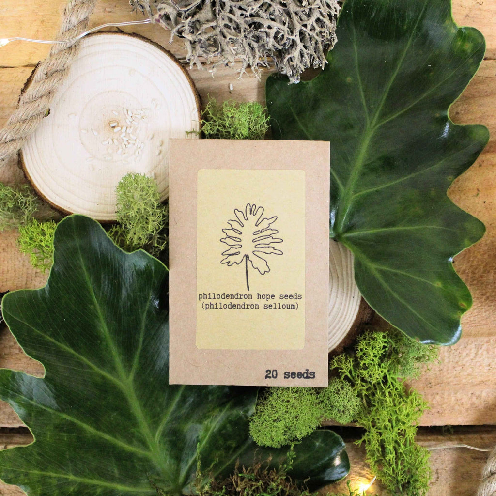 "Grow your own Jungle" Houseplant Seed Collection