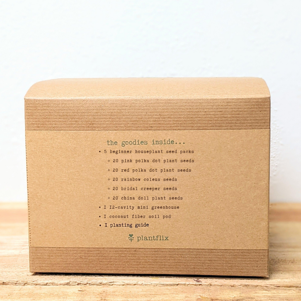 "Grow an Indoor Jungle" Houseplant Seed Kit